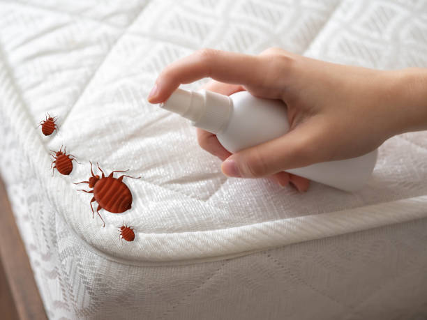 Best Pest Prevention Services  in Dale, PA